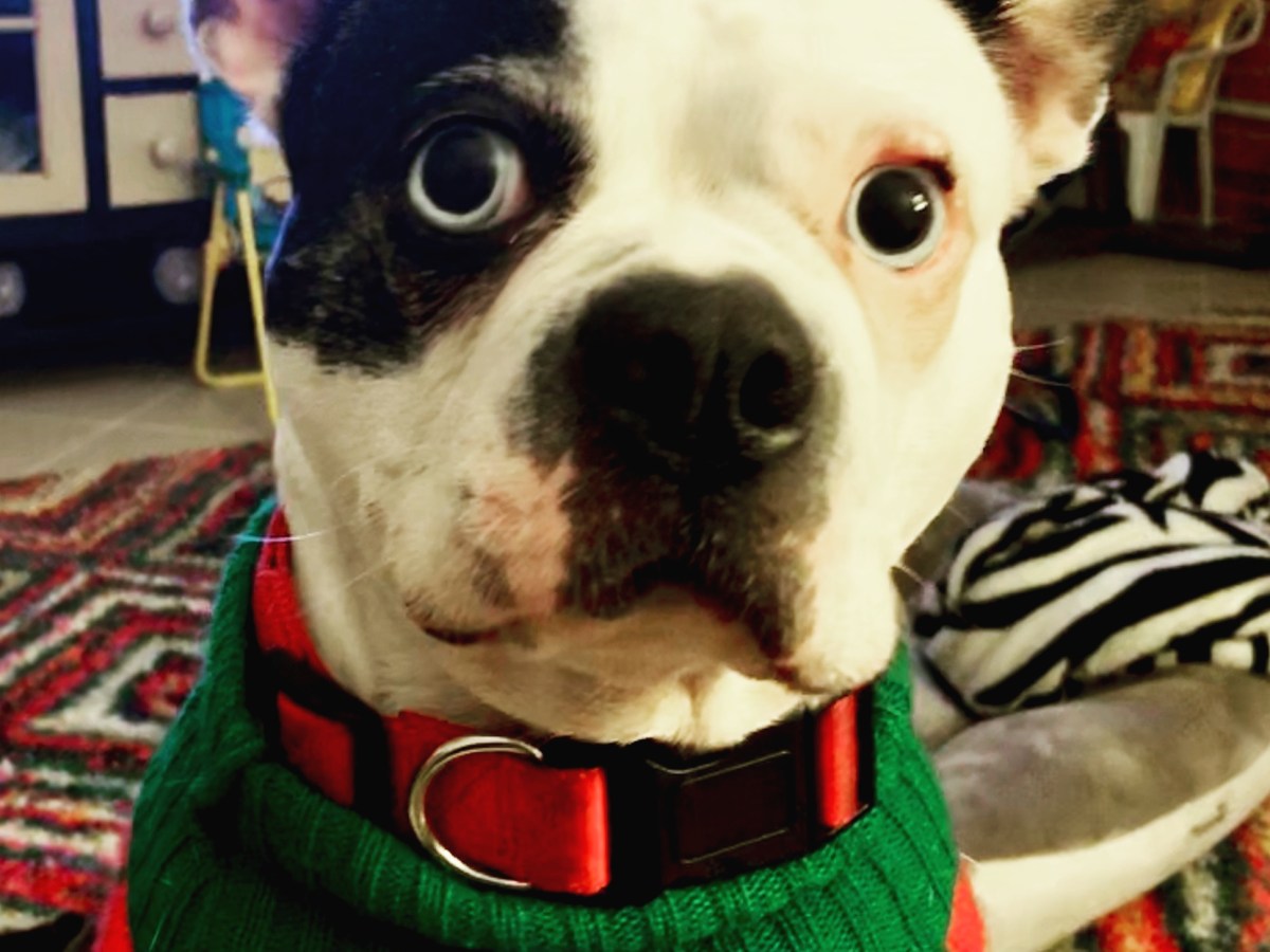 Saying goodbye to an old&nbsp;friend