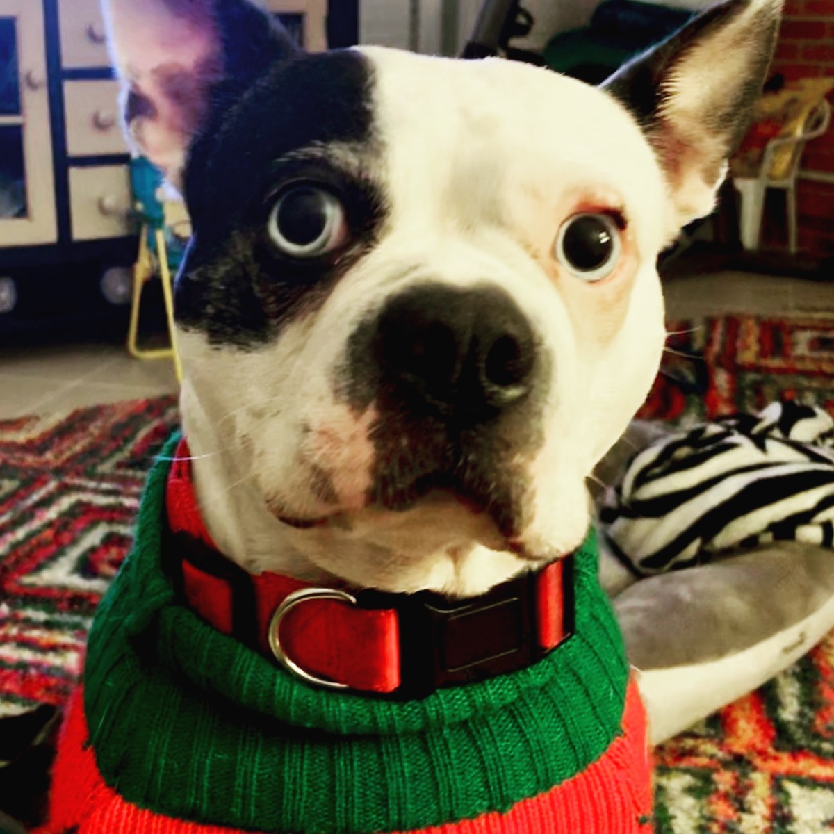 Saying goodbye to an old&nbsp;friend